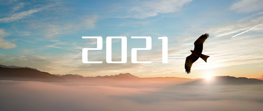 乘“峰”而上，智“盈”未来 ——2021年HTH.COM华体会环境高级资深副总裁新年开工动员